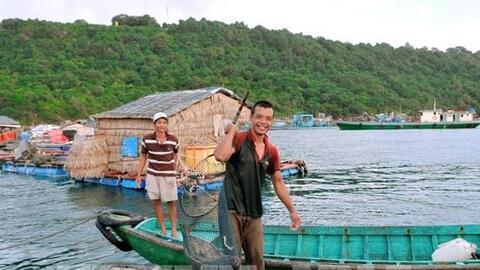 Kiên Giang phát triển nghề nuôi biển theo hướng an toàn