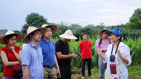 Hà Nội: Xây dựng sản phẩm OCOP cho du lịch