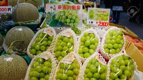 Trung Quốc, Hàn Quốc nhái nho cao cấp Nhật Bản