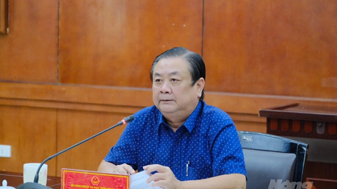 Tổ công tác 970 kết nối tiêu thụ từ 200 - 400 tấn nông sản mỗi ngày