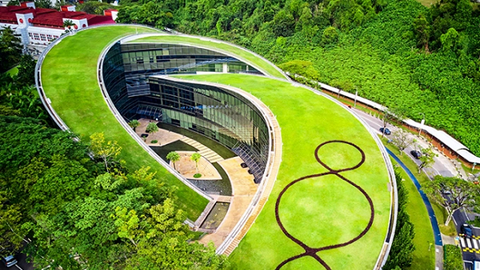 Singapore nghiên cứu ra cách sản xuất phân urê xanh- sạch- rẻ