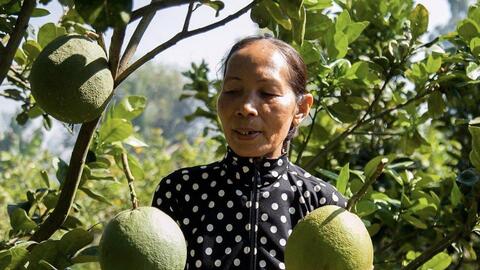 Chị Ảnh khởi nghiệp! 