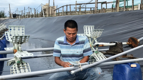 Nuôi tôm “công nghệ cao” thu về tiền tỷ