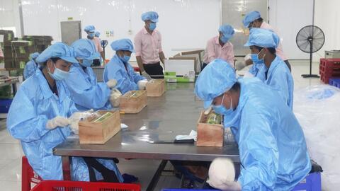 Xuất khẩu nông lâm thủy sản năm 2021 có thể đạt 44 tỉ USD 