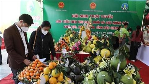 Xúc tiến tiêu thụ nông sản chủ lực đặc trưng của Bắc Giang