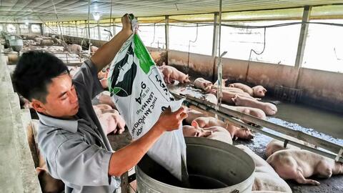 Kết nối, cung cấp sản phẩm chăn nuôi sạch vào chuỗi cửa hàng tiện ích 