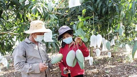 Con đường sáng của nông sản Việt Nam