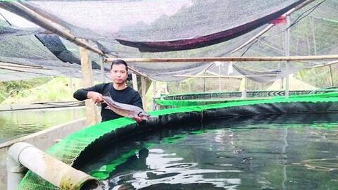 Anh Phạm Ngọc Thanh thu nhập tiền tỷ từ mô hình nuôi cá tầm