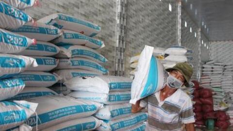 Giá thức ăn chăn nuôi tăng "sốc", nuôi có 170 con gà cũng lo ngay ngáy?