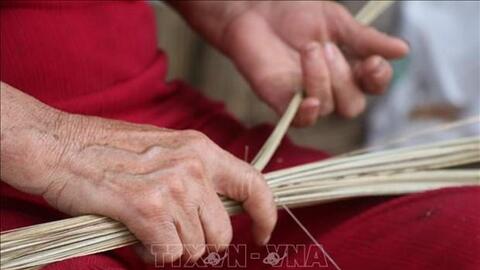 Đến với làng nghề bó chổi cọng dừa Mỹ An