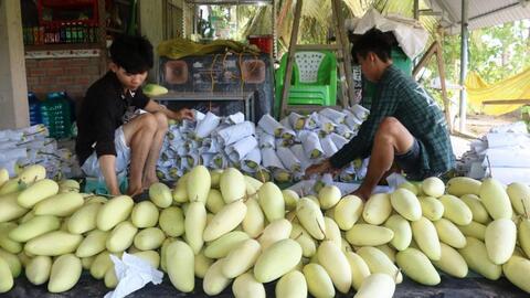 Kỳ vọng Trung tâm liên kết sản xuất, chế biến và tiêu thụ sản phẩm nông nghiệp vùng ĐBSCL 