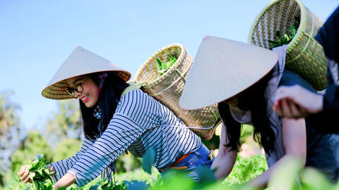 Nâng tầm du lịch nông thôn