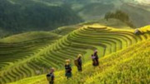 Du lịch nông thôn (Bài cuối): Phải cho du khách trải nghiệm làm nông nghiệp đúng nghĩa