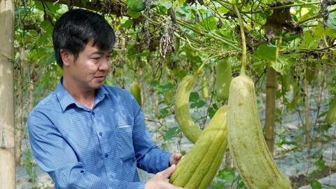 Người biến xơ mướp thành đồ gia dụng, xuất đi Tây thu về tiền tỷ