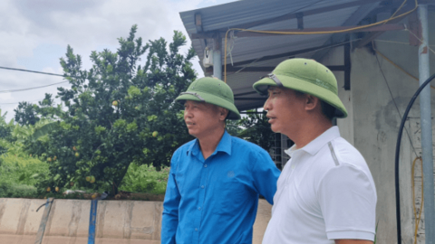 Những nông dân chuyên nghiệp: Thành công từ ngã rẽ bất ngờ (Bài 1)