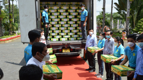 Những nông dân chuyên nghiệp: Giám đốc HTX ở Đồng Tháp chia sẻ bí quyết xuất khẩu xoài sang châu Âu (Bài 4)