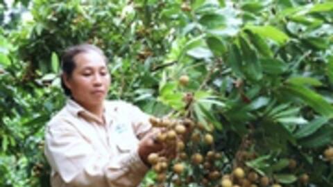 Nông dân vùng cao thay đổi tư duy làm nông nghiệp