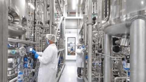 Công nghệ thực phẩm mới có thể giải phóng 80% đất nông nghiệp