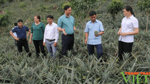 Hội Nông dân Sơn La chung tay thúc đẩy phát triển KT - XH