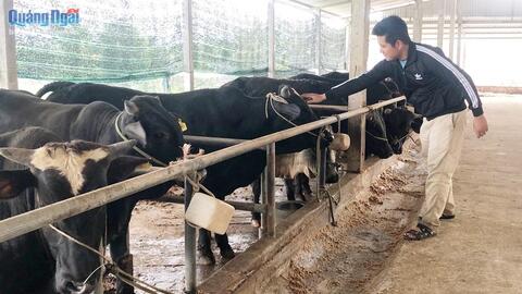 Lợi thế của người trẻ làm nông nghiệp