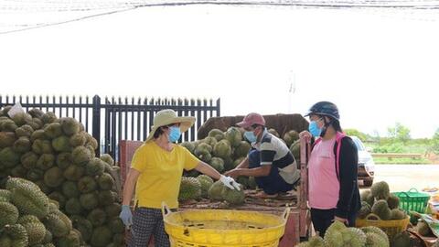 Trung Quốc mở cửa, nhiều nông sản Việt Nam tăng giá gấp đôi