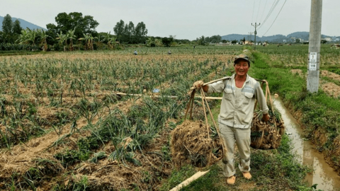 Trăn trở 'đầu ra' của hành, tỏi Kinh Môn