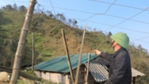 Gần 9,5 ha rừng ở Sa Pa bị lấn chiếm trồng su su