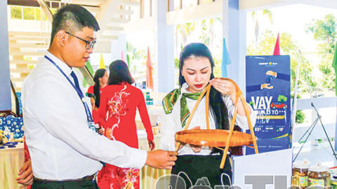 Hỗ trợ hợp tác xã phi nông nghiệp phát triển hiệu quả 