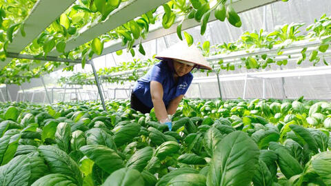 Đắk Nông triển khai công tác đảm bảo ATTP, nâng cao chất lượng nông, lâm, thủy sản năm 2023