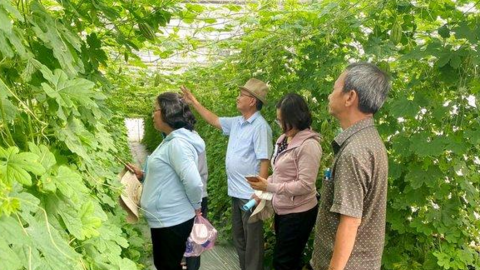 TP.HCM tìm thương hiệu vàng nông nghiệp