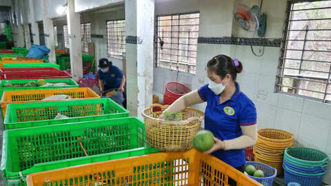 Thúc đẩy  số hóa truy xuất nguồn gốc nông sản 