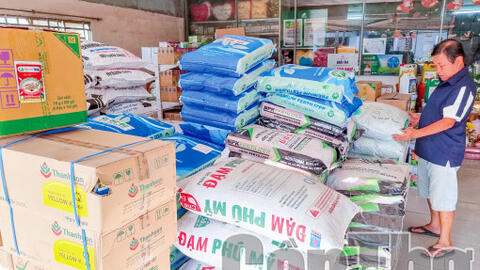 Giá phân bón giảm 