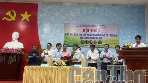 Liên kết tiêu thụ sản phẩm ngành hàng cây ăn trái TP Cần Thơ 