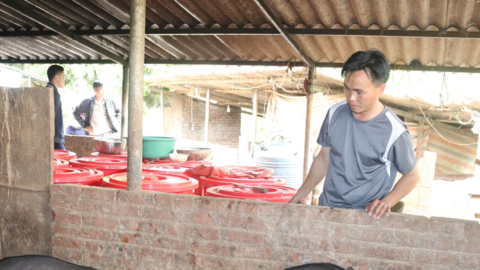 Chàng trai người Mông Bắc Yên làm kinh tế giỏi