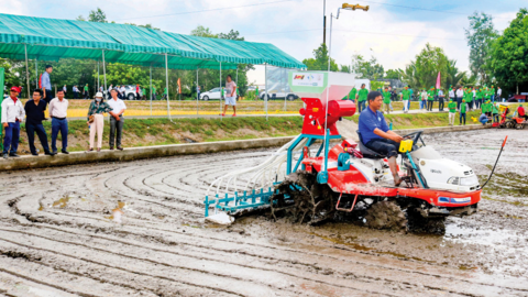 Thúc đẩy áp dụng cơ giới hóa gieo sạ chính xác 