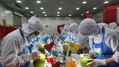 Định vị nông nghiệp xanh, “Made in Việt Nam” cho đất Chín Rồng 