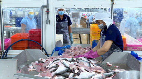 Đầu tư công nghệ chế biến sâu, gia tăng giá trị cho nông sản, thủy sản 