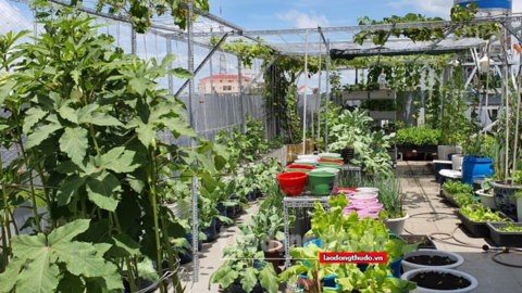 Cần thêm cơ chế đặc thù để phát triển bền vững cho các vùng trồng rau an toàn