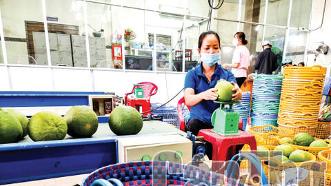 Thúc đẩy liên kết, phát triển các chuỗi giá trị nông sản 