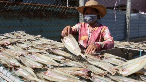 Cá khô, cá hộp trở thành "ngôi sao sáng" trong xuất khẩu
