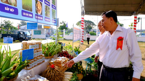 Phát triển sản phẩm OCOP đảm bảo cả lượng và chất 