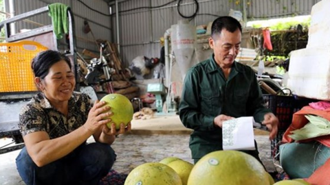 Tuyên Quang phát triển các loại cây ăn quả chủ lực, đặc sản