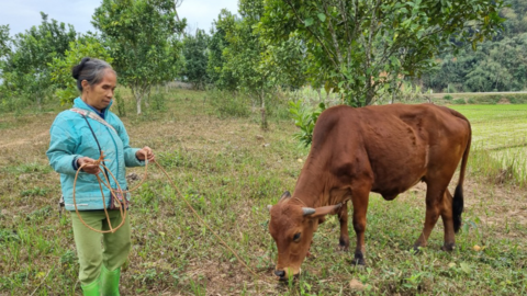 Hòa Bình: Nông dân Độc Lập hiến hàng nghìn mét vuông đất làm đường