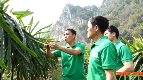 Hội Nông dân TP. Sơn La: Nhìn lại một nhiệm kỳ thắng lợi