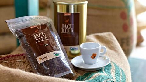 Loại cà phê có giá gần 1 cây vàng, được săn lùng nhiều nhất trên thế giới lại được thu hoạch thế này