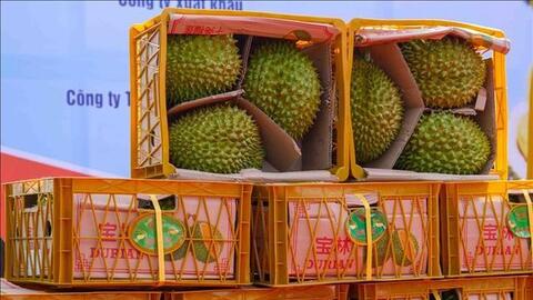 Hỗ trợ đăng ký nhãn hiệu, chỉ dẫn địa lý tại Trung Quốc