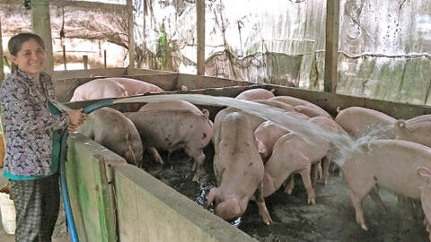 Vợ chồng đồng lòng phát triển kinh tế 