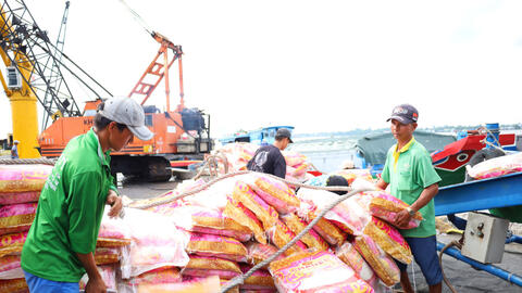 Thủ tướng Chính phủ chỉ thị đảm bảo an ninh lương thực, thúc đẩy sản xuất, xuất khẩu gạo bền vững 