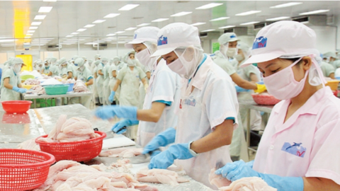 Trung Quốc, Mỹ mua nhiều cá tra nhất của Việt Nam, kỳ vọng xuất khẩu cả năm hơn 1,7 tỷ USD