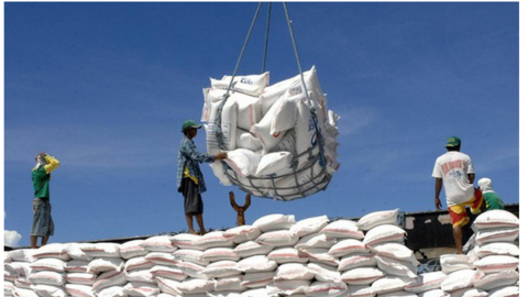 Rau quả, thủy sản, gạo, cao su... đang xuất khẩu sang Trung Quốc ra sao?